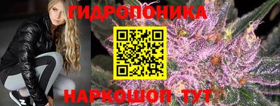 индика Конаково