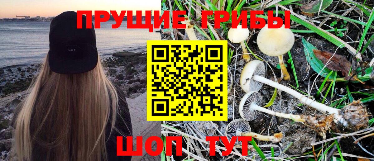 Донской  Псилоцибиновые грибы Magic Shrooms  Галлюциногенные грибы Cubensis  Вход с VPN 